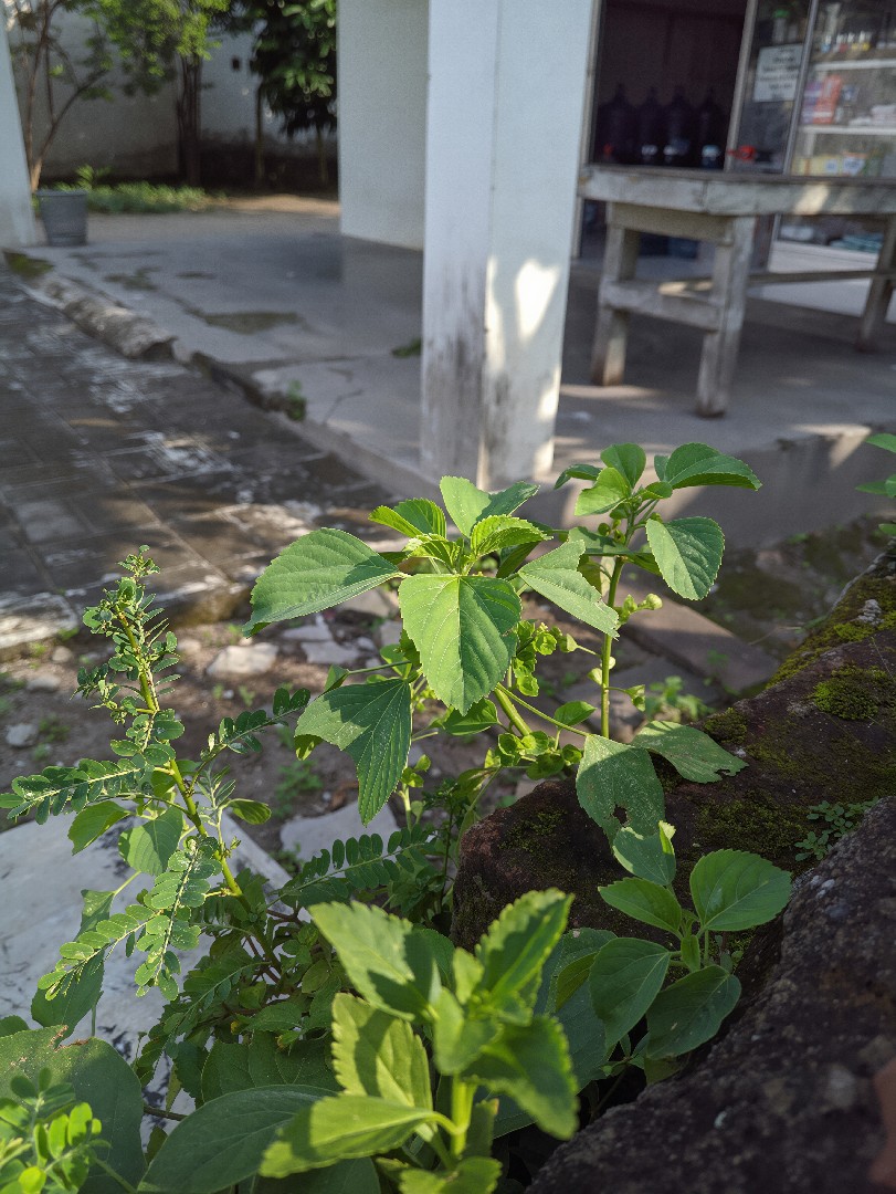 jasa-layanan-edit-foto