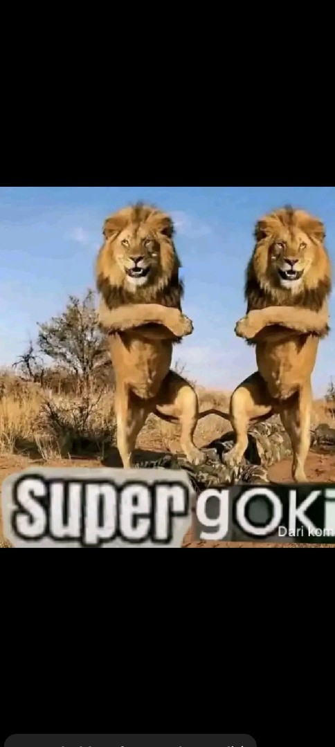 jasa-joki-game-dan-tugas