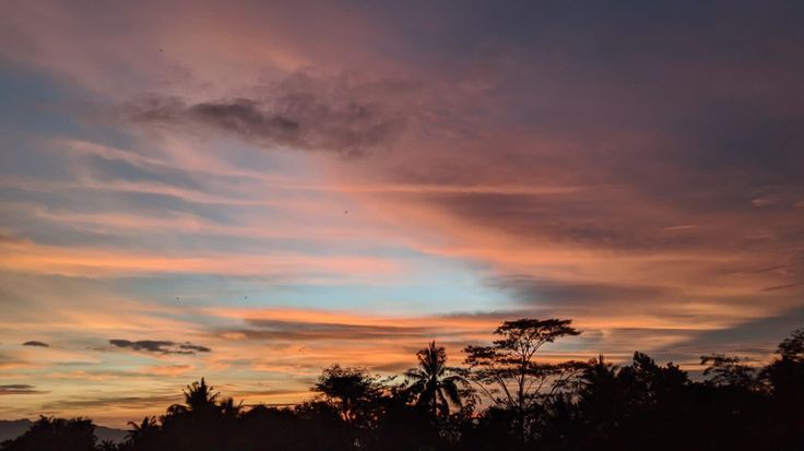 melayani-apa-saja-saya-bisa