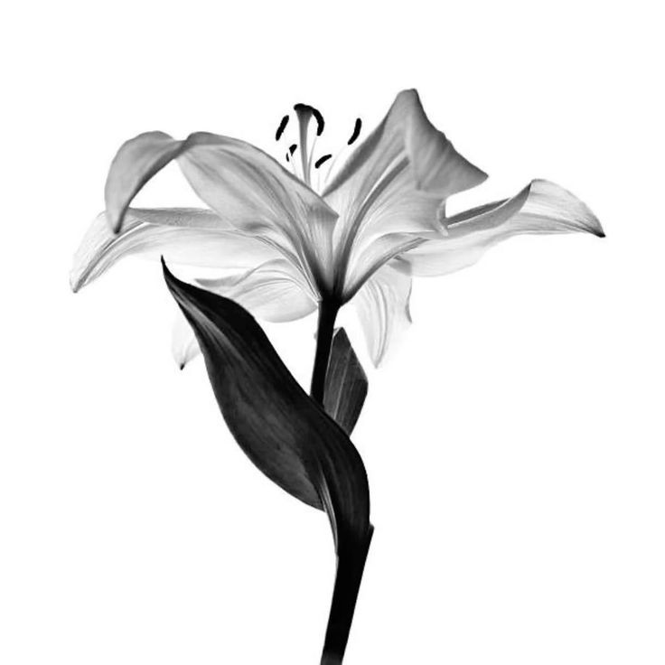 jasa-ketik-dan-curhat