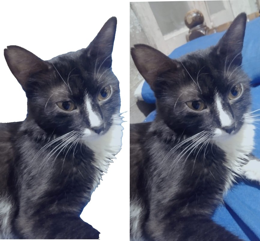 ازاله-الخلفيه-من-الصور