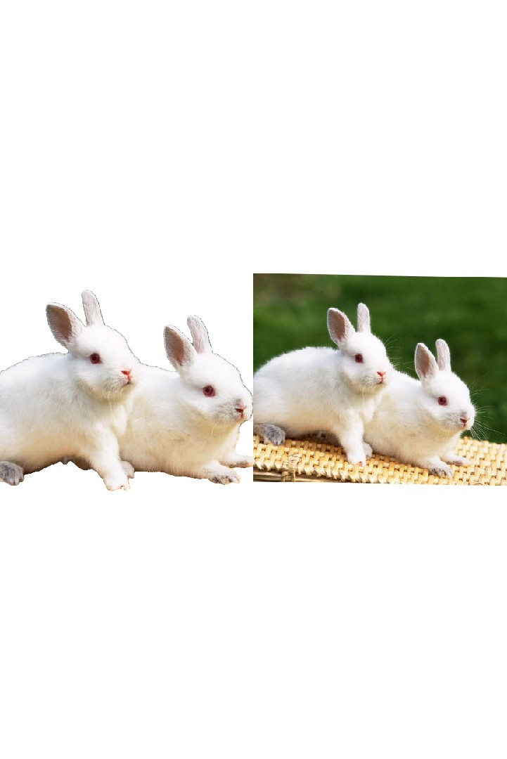 ازاله الخلفيه من الصور