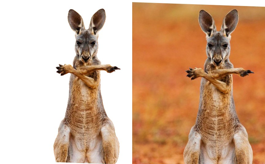 ازاله الخلفيه من الصور