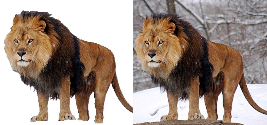 ازاله الخلفيه من الصور