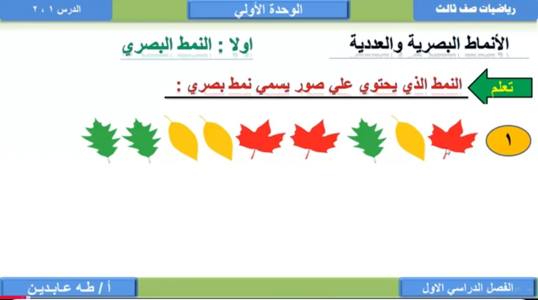 معلم رياضيات ابتدائي ومتوسط.
