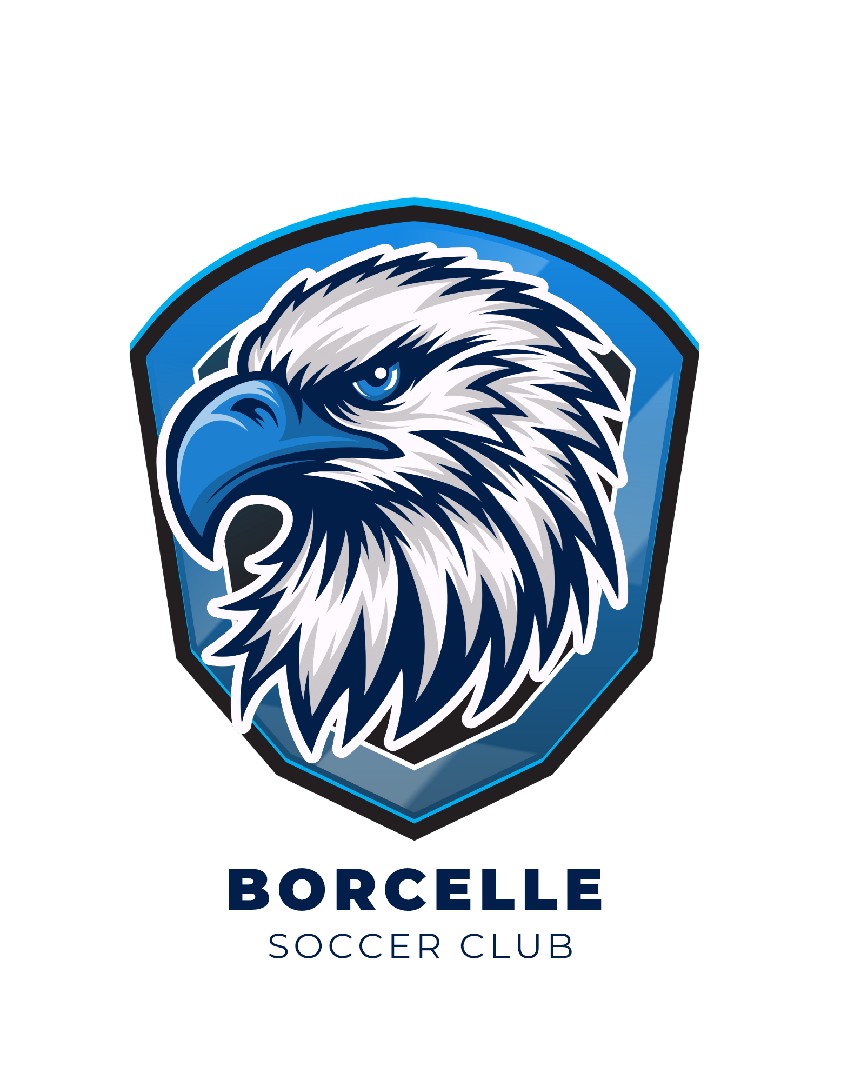 تصميم-لوجو-احترافي