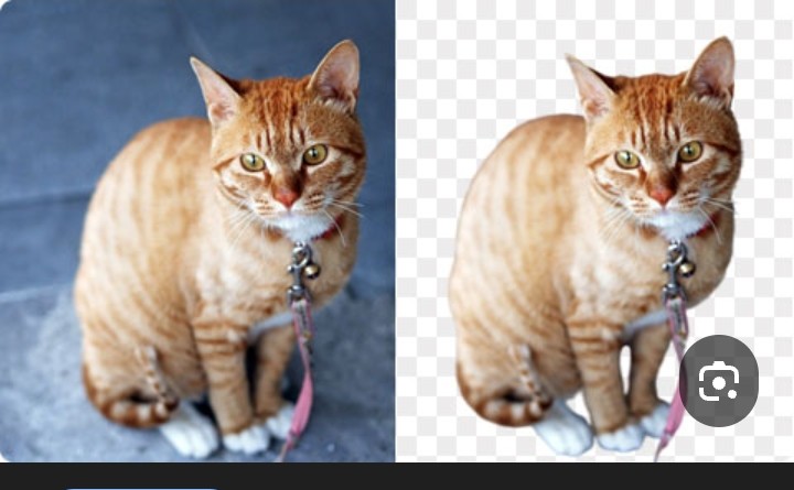 Remove items & Remove background & color background