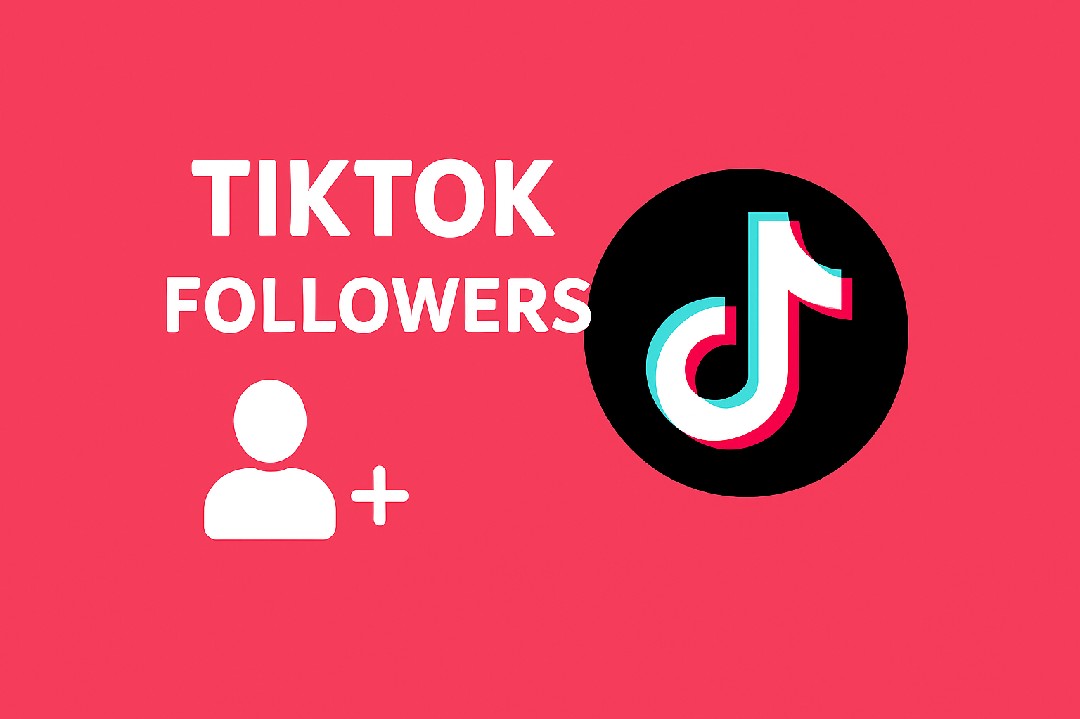 تزويد-متابعين-تيك-توك