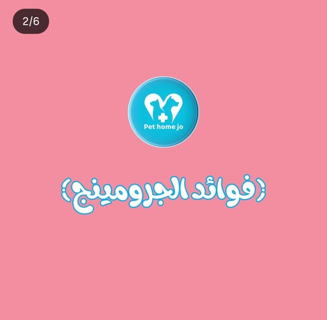 كاروسيل-انستجرام