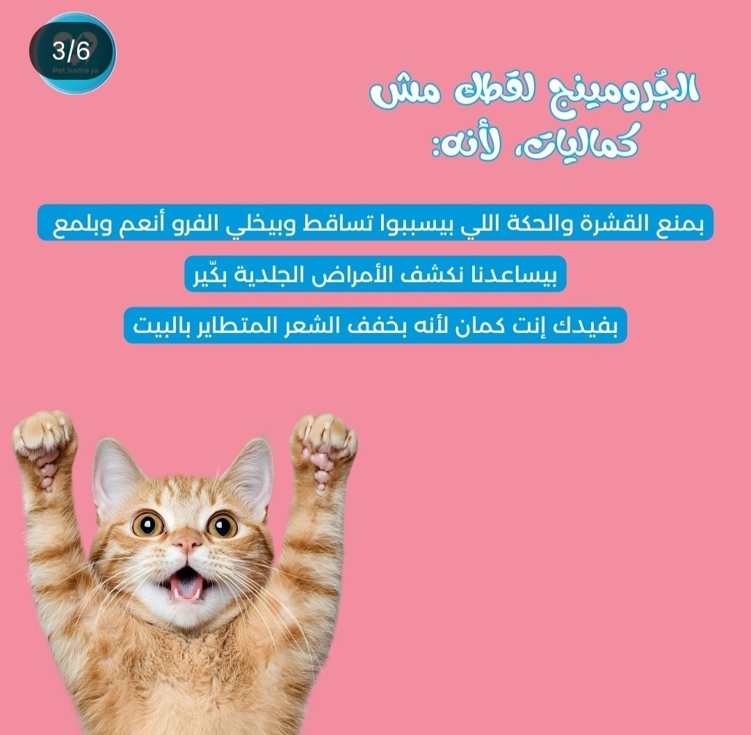 كاروسيل انستجرام