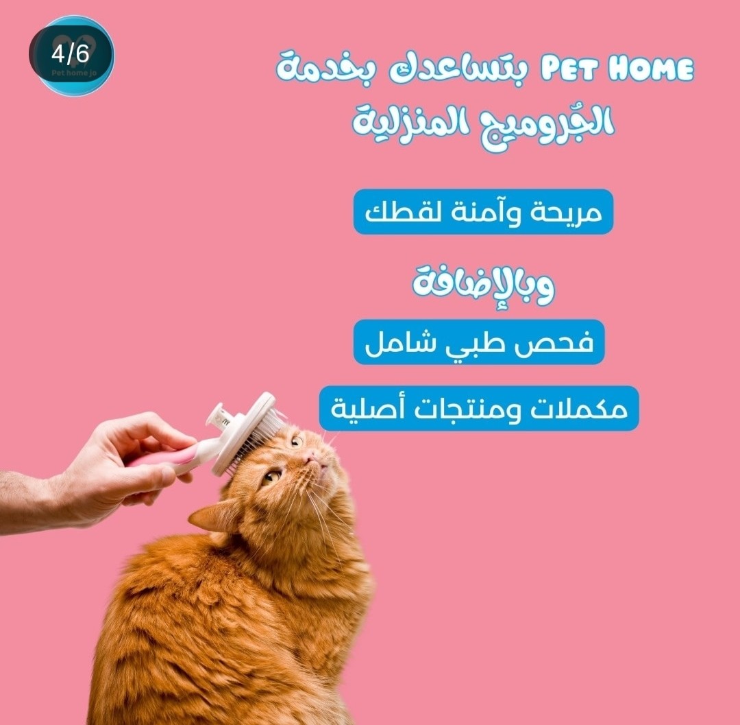 كاروسيل انستجرام