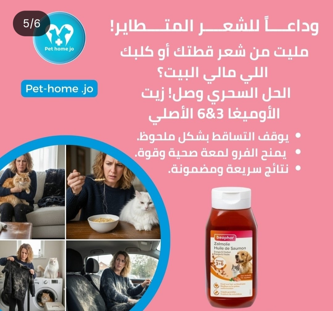 كاروسيل انستجرام