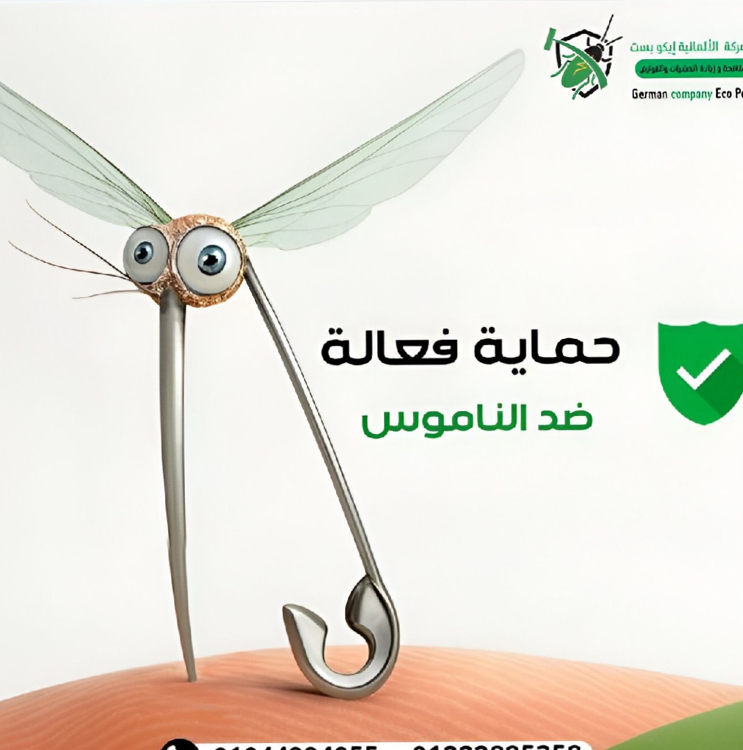 اعلانات-سوشيال-ميديا